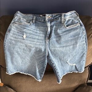 KUT from the kloth Blue Women's Denim Shorts